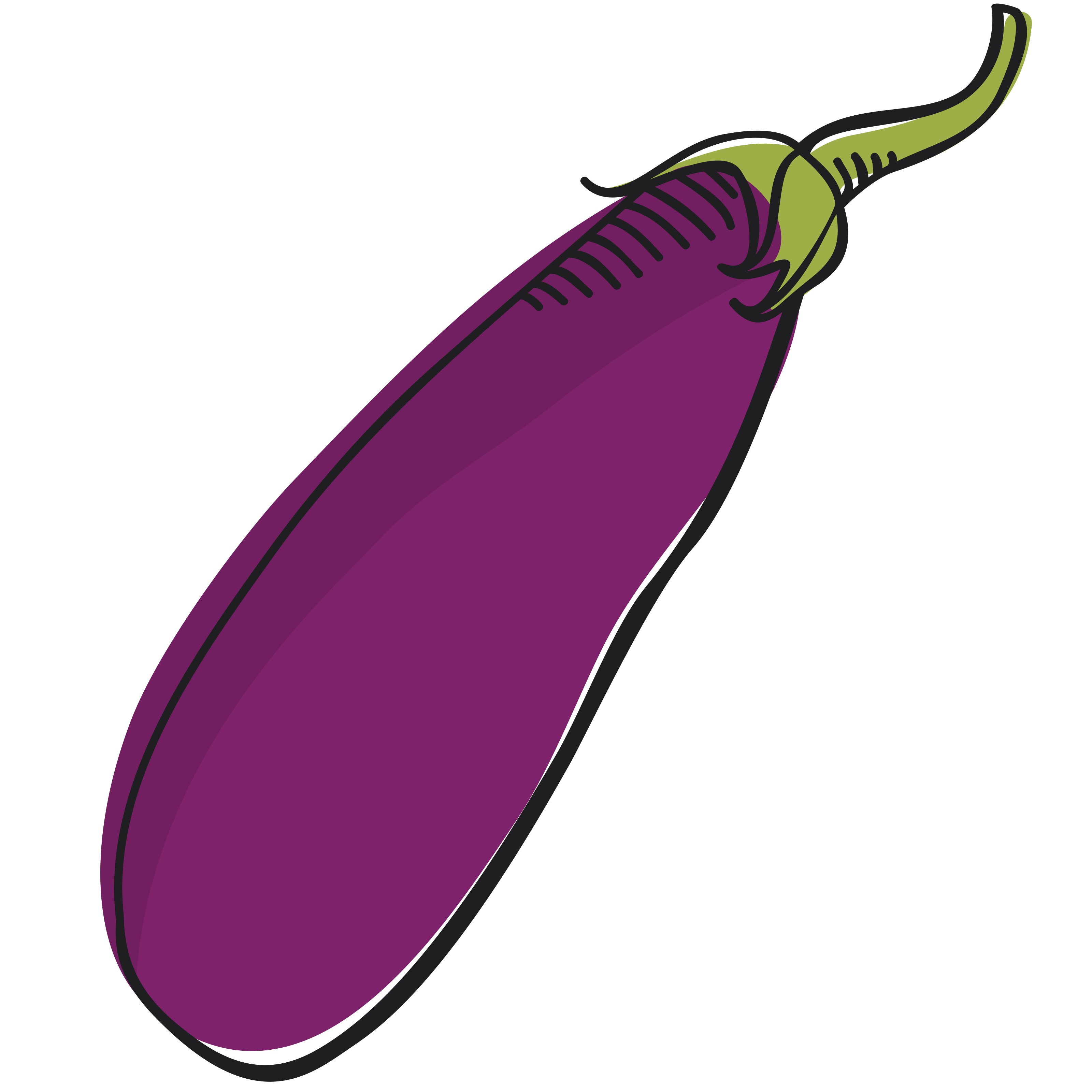 Aubergine