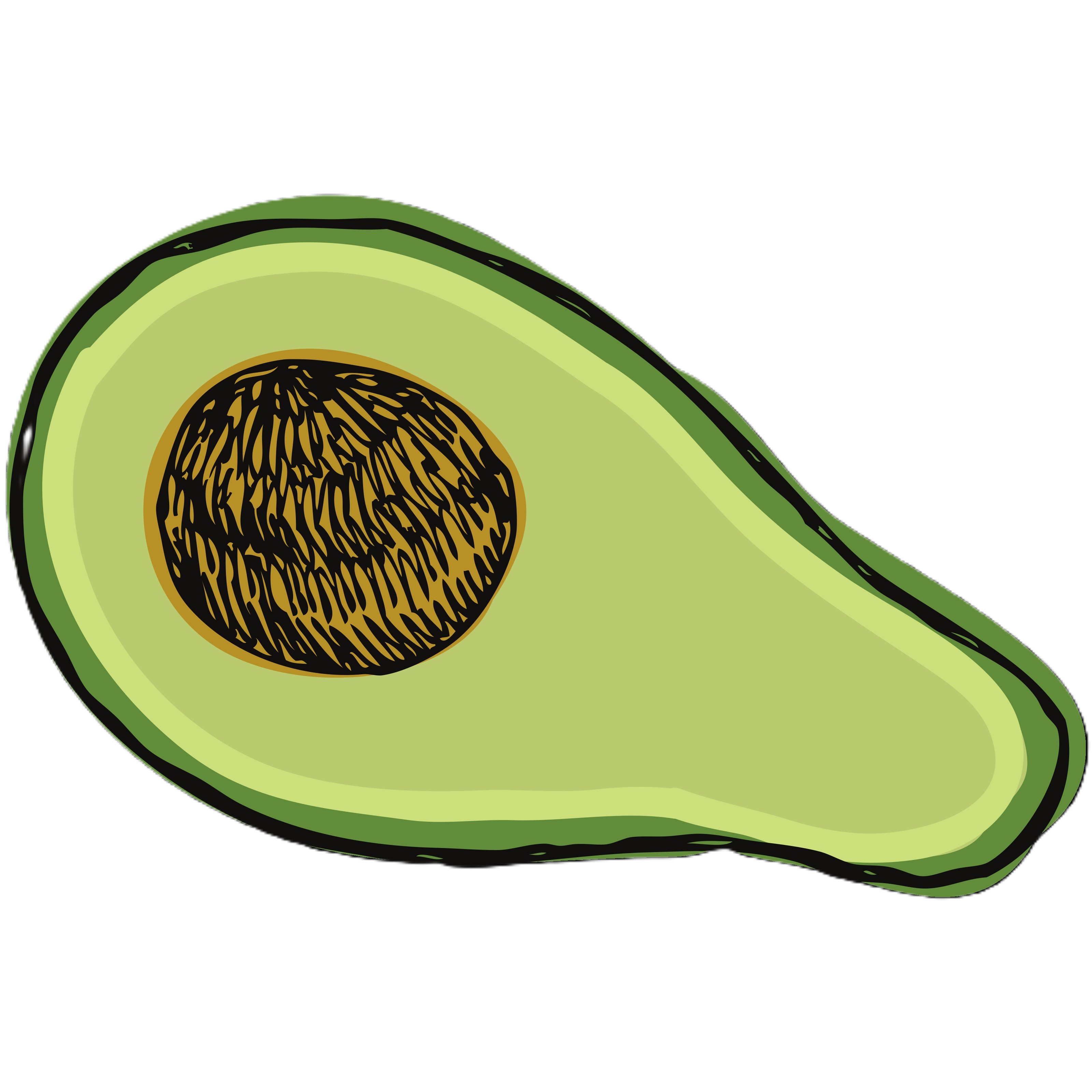 Avocado