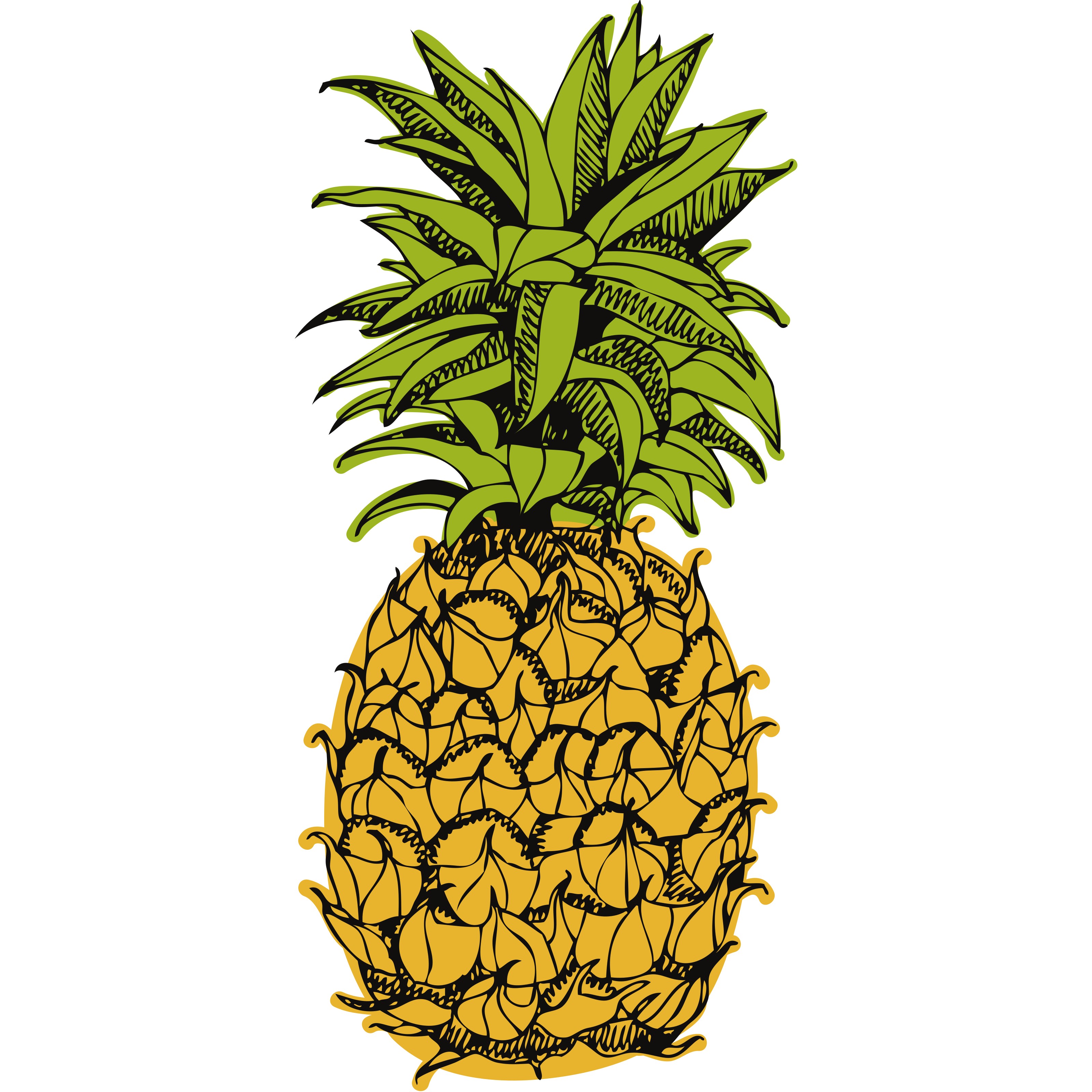 Ananas